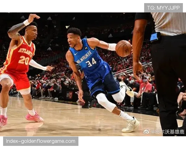 老鹰141-107狂胜篮网，麦科勒姆25分7助攻率队四连胜