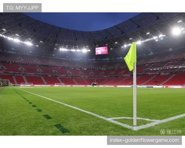 欧足联加强球场安全标准，站立区容量限制引讨论